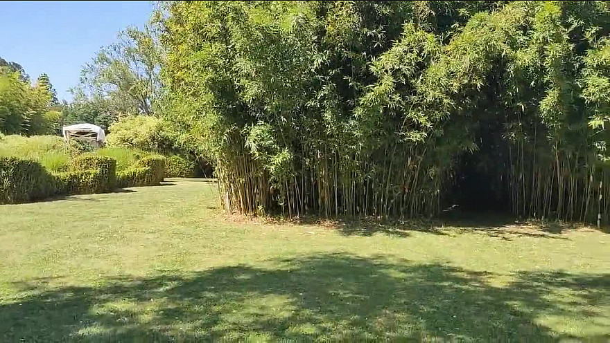 Le Parc aux Bambous en Ariège (Occitanie) a invité Dominique Fajeau, artiste plasticien toulousain, à investir les lieux jusqu'au 1er Novembre 2023